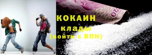 индика Зеленодольск
