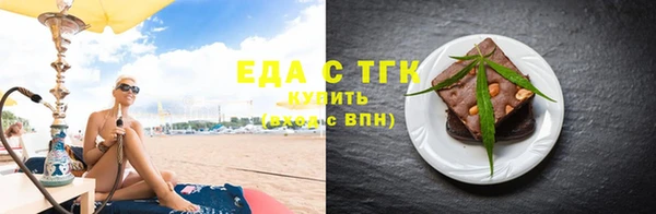 индика Зеленодольск
