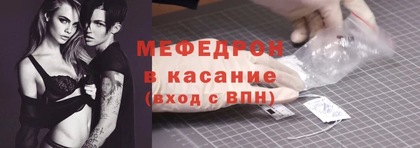 индика Зеленодольск