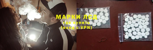 индика Зеленодольск