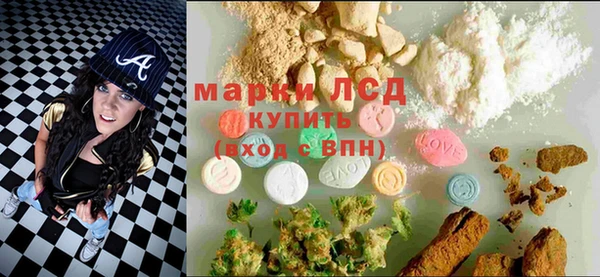 индика Зеленодольск