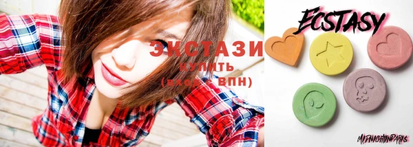 индика Зеленодольск