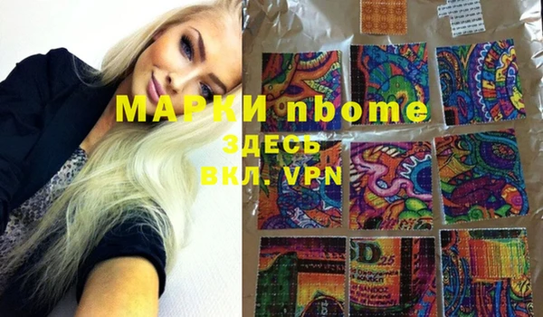 индика Зеленодольск
