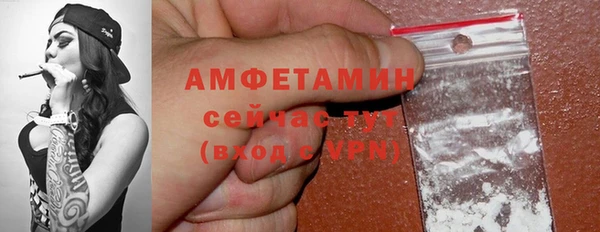 индика Зеленодольск